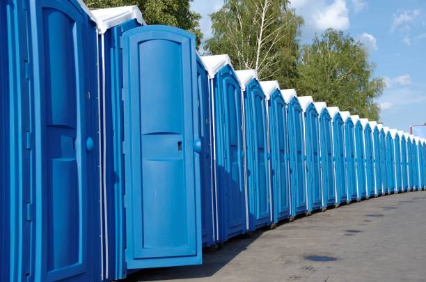 Best Portable bathroom rental  in Pardeeville, WI